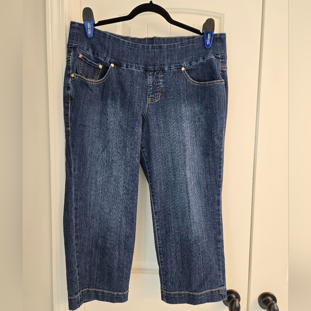 Jag Jeans Wide Leg Capris, Classic Fit, 16W